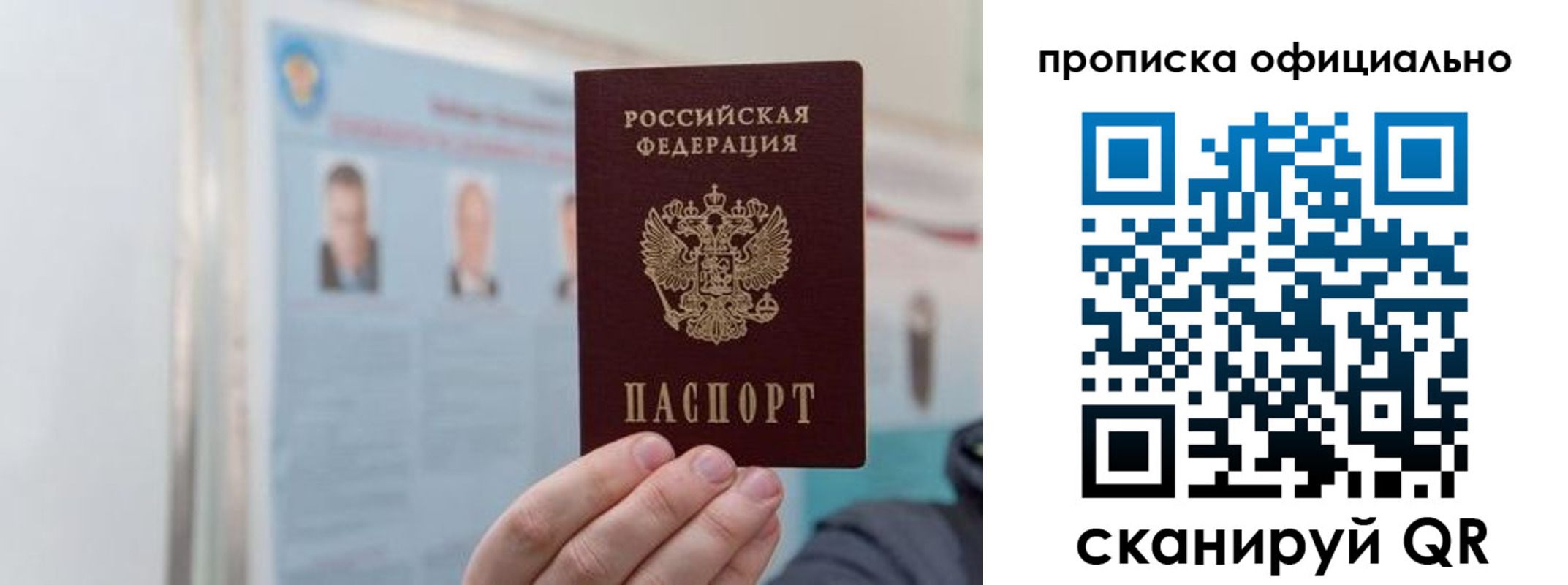 прописка гарантия в Курганской области